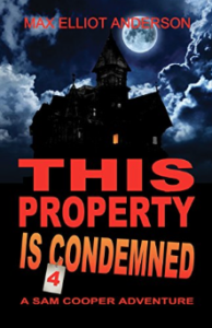 this property is condemned book cover