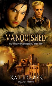 Vanquished book cover